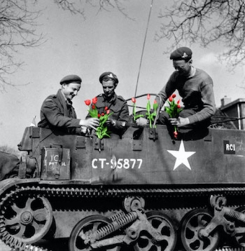 Canadese militairen versieren een bren carrier met tulpen. Foto Public Archives Canada, Groninger Archieven Canadese militairen versieren een bren carrier met tulpen. Foto Public Archives Canada, Groninger Archieven