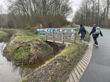 Noorder Rondtochten 2025