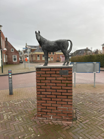 Noorder Rondtochten 2025