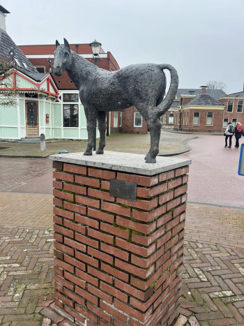 Noorder Rondtochten 2025
