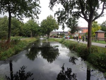 TodN 2019 zaterdag