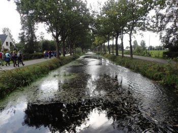 TodN 2019 zaterdag