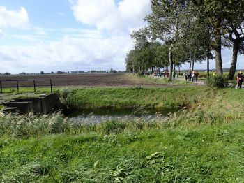 TodN 2019 zaterdag