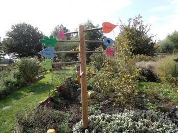 TodN 2019 zaterdag