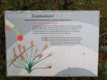 TodN 2019 zaterdag