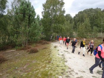 TodN 2019 zaterdag