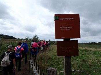 TodN 2019 zaterdag