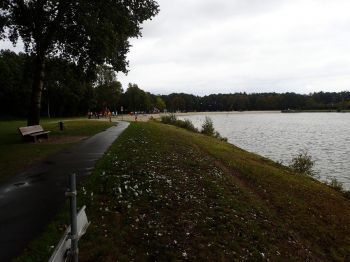 TodN 2019 zaterdag