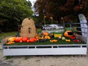 TodN 2019 zaterdag