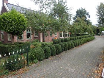 TodN 2019 zaterdag