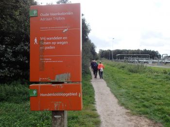 TodN 2019 zaterdag