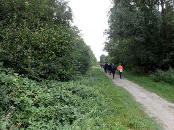 TodN 2019 zaterdag