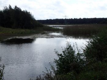 TodN 2019 zaterdag