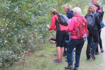 TodN 2019 zaterdag