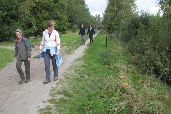 TodN 2019 zaterdag