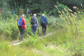 TodN 2019 zaterdag