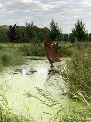 Foto's van de zondag van TodN 2021