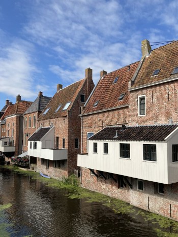 Foto's van de zondag van TodN 2021