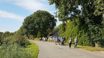 Foto's van de zondag van TodN 2021