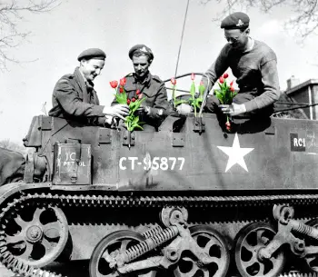Canadese militairen versieren een bren carrier met tulpen. Foto Dan Guravich, Library and Public Archives Canada, Groninger Arch