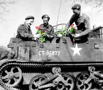 Canadese militairen versieren een bren carrier met tulpen. Foto Dan Guravich, Library and Public Archives Canada, Groninger Arch Canadese militairen versieren een bren carrier met tulpen. Foto Dan Guravich, Library and Public Archives Canada, Groninger Arch
