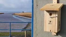 Stempelpost Nieuwstatenzijl