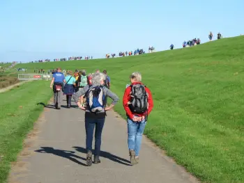 Todn Noordnijs juli