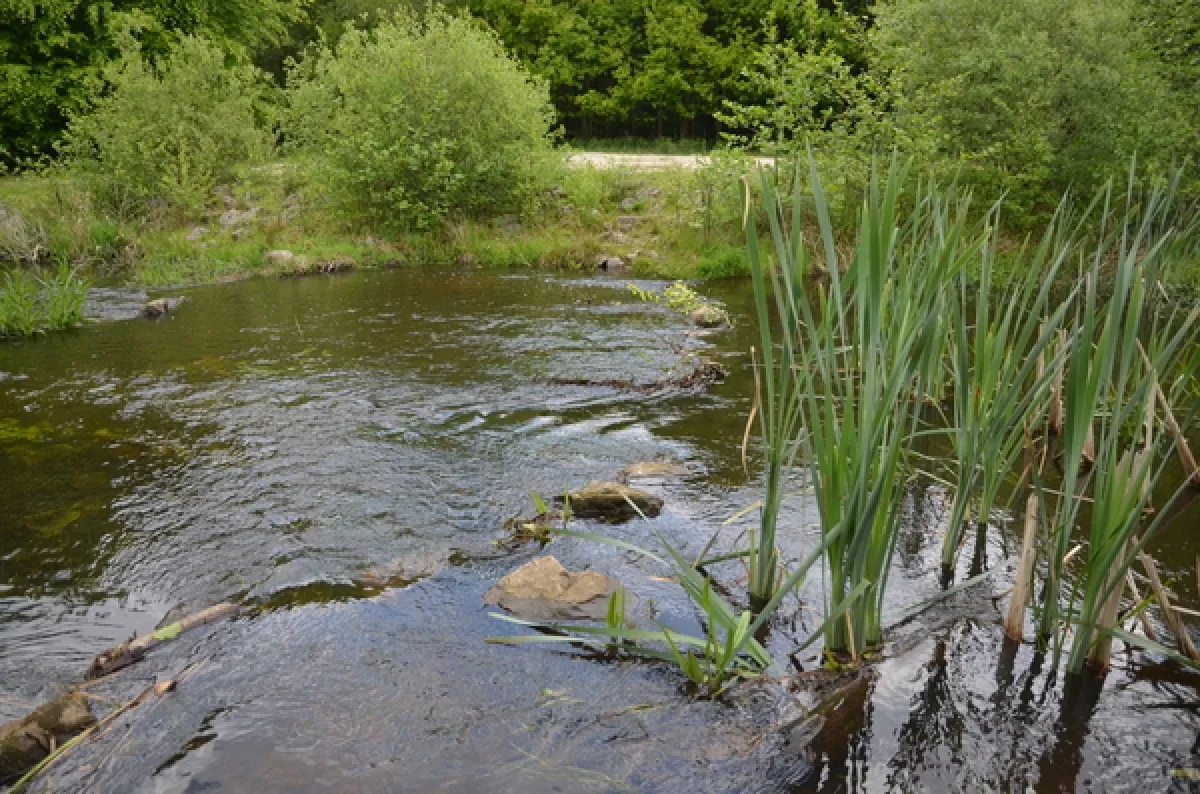 Westerwolde Wandelweekend