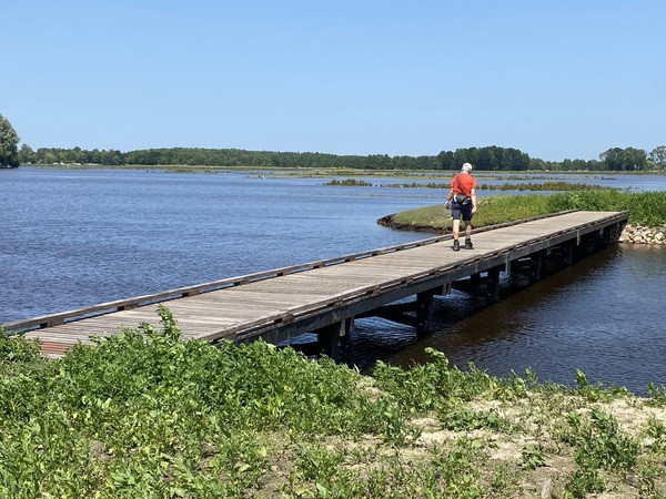 Wandelaars Knuppelpad