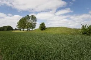 WandelFit met de TodN Ommetjes